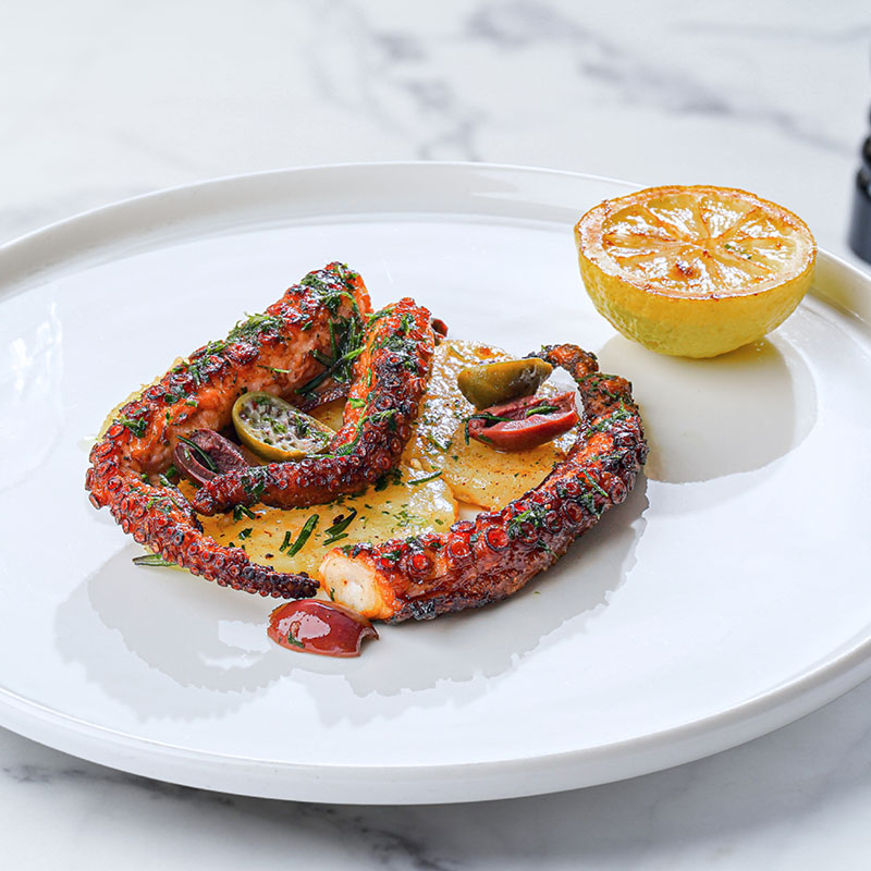 Grilled Octopus